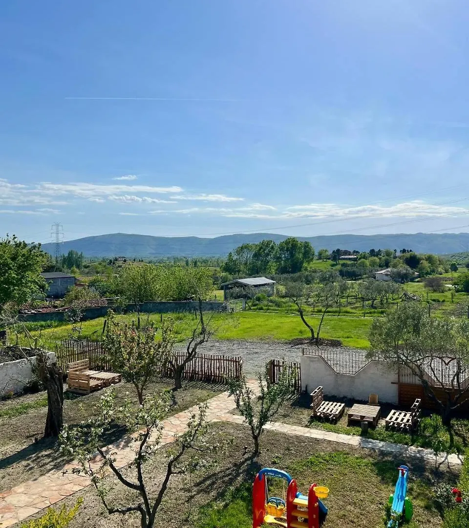 Bed & Breakfast Tringa Guesthouse - Mrizi I Zanave Fishte