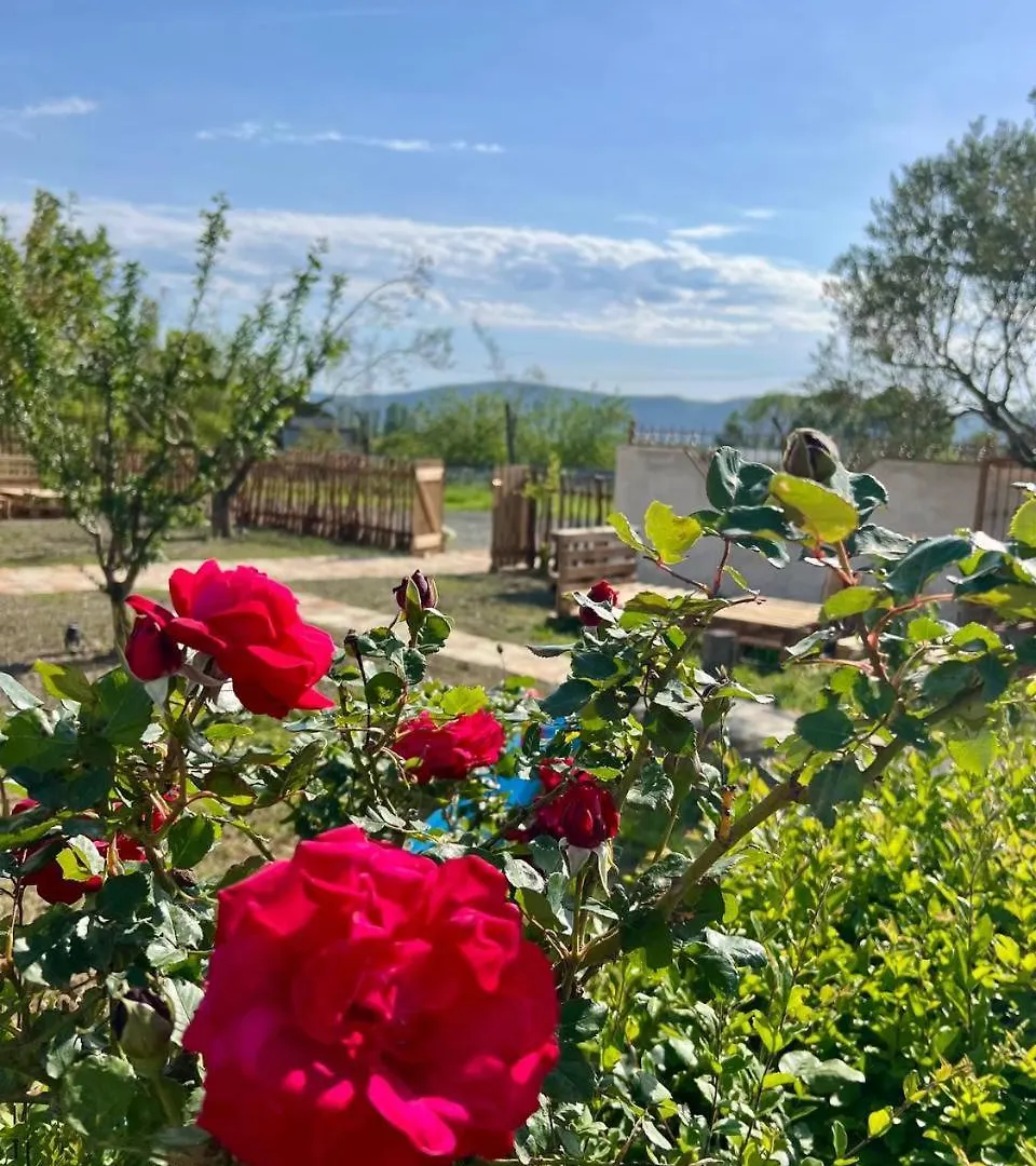 Tringa Guesthouse - Mrizi I Zanave Fishte 0*,
