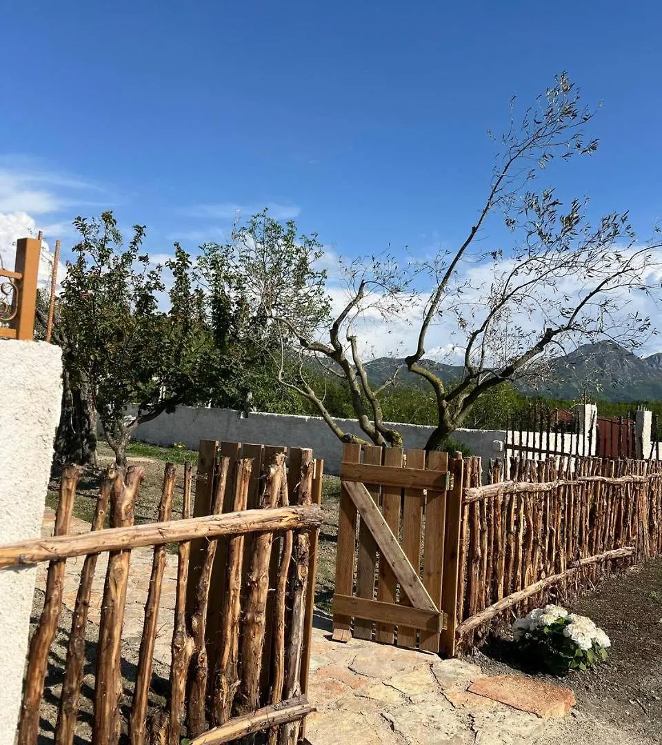 Tringa Guesthouse - Mrizi I Zanave Fishte